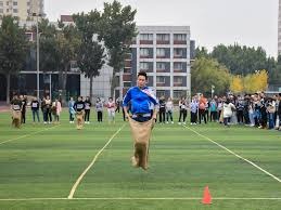 解析“平台用户生命周期”。（平台用户生命周期解读）