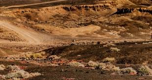 篮球——NBA常规赛：猛龙不敌马刺