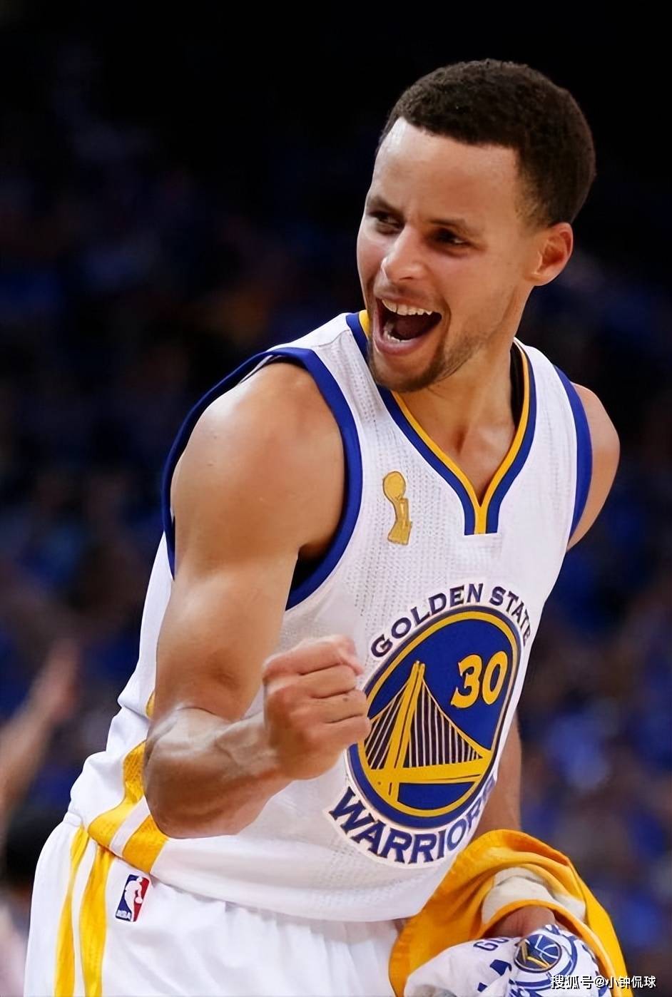 鸟更是将自 鸟更是将自