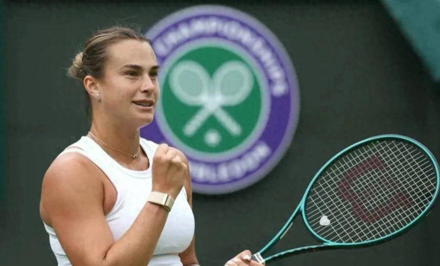 定性和变数 定性和变数