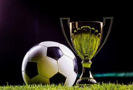 他常常需要 他常常需要